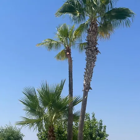 Vina Mar Apartman La Mata